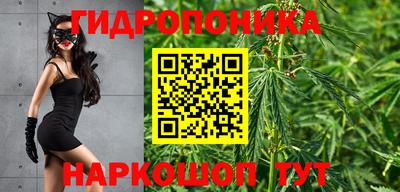 прущие грибы Изобильный