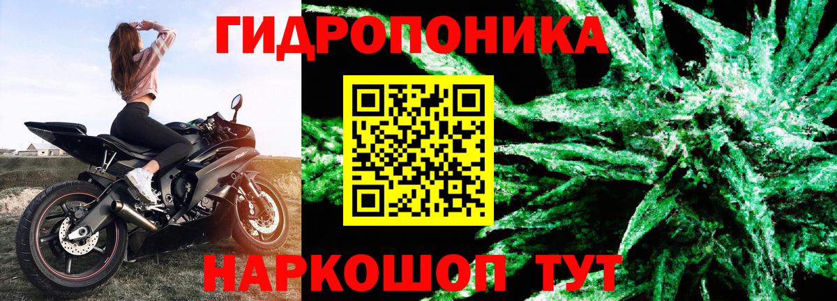 Марихуана планчик Медногорск